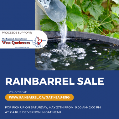 Rain barrel sale