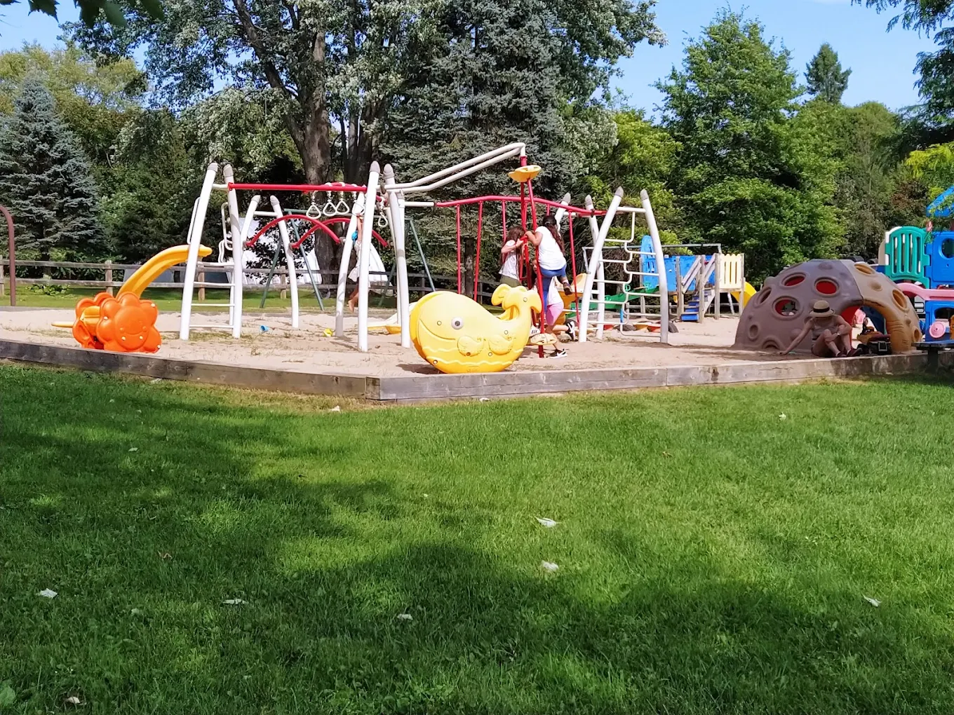 Fête au parc