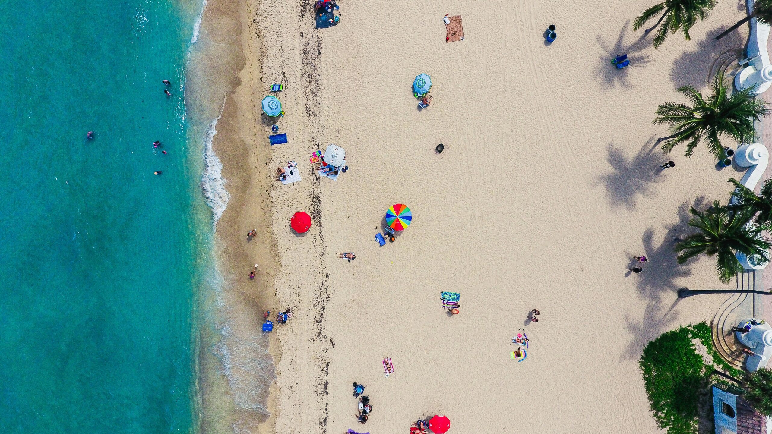Beach Day